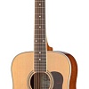 Акустическая гитара Caraya F66012-N