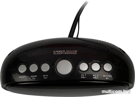 Радиочасы Ritmix RRC-616 (черный)