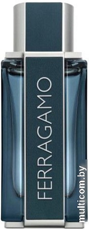 Парфюмерная вода Salvatore Ferragamo Intense Leather EdP (100 мл)