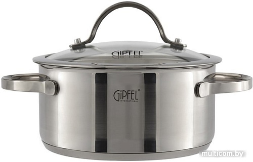 Кастрюля Gipfel Victory 1367