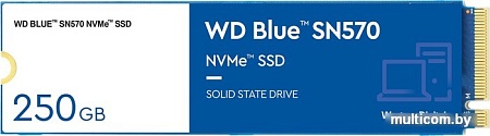 SSD WD Blue SN570 250GB WDS250G3B0C
