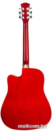 Акустическая гитара Elitaro E4110 RDS