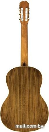Акустическая гитара Manuel Rodriguez C10