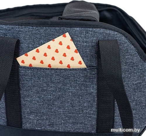 Сумка-переноска Zoom Элай №1 90061т.сер