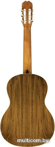 Акустическая гитара Manuel Rodriguez C10