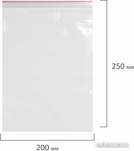 Пакеты фасовочные Staff Zip Lock 608167 (100 шт)