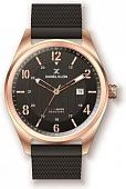 Наручные часы Daniel Klein DK11743-7
