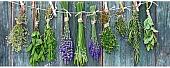 Картина на стекле Orlix Сушеные пучки трав GL-00882 30x80 см