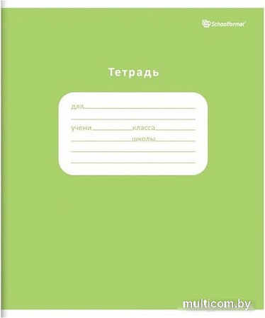 Набор тетрадей Schoolformat Однотонная школьная ТШКО24-Ш-НМП