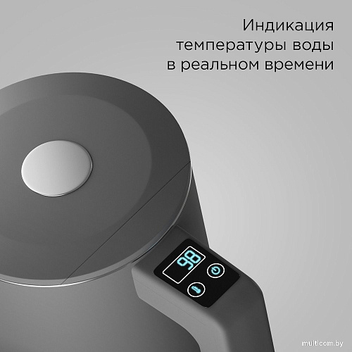 Электрический чайник Redmond (Редмонд) SkyKettle KM231S (серый)