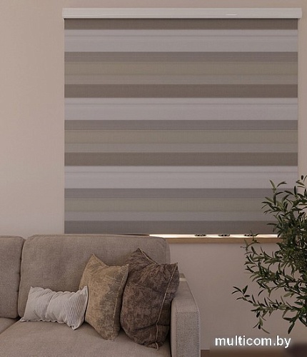 Шторы день-ночь Legrand День-Ночь 42.5x160 (бежево-коричневый)