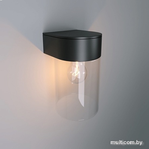 Уличный настенный светильник Elektrostandard Atrani 35085/D (черный)