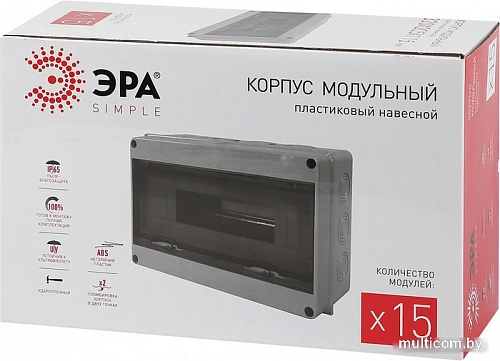 Бокс пластиковый Эра Б0046407