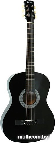 Акустическая гитара Terris TF-3802A BK