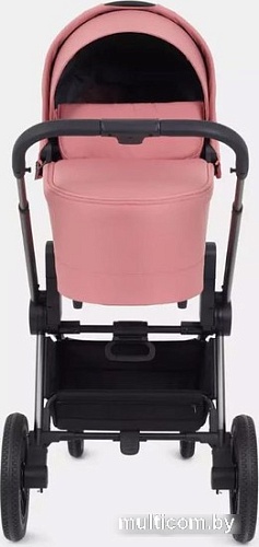 Универсальная коляска Rant Flex Pro RA074 2023 (2 в 1, pink)