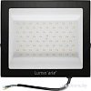 Уличный прожектор Luminarte LFL-100W/06