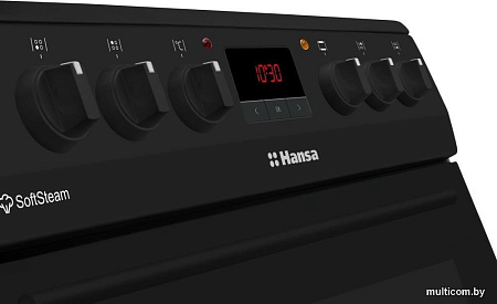Кухонная плита Hansa FCCM58209H