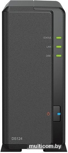 Сетевой накопитель Synology DiskStation DS124