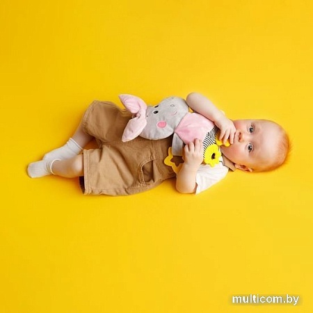 Прорезыватель Мякиши Бегемотик Милочка 724