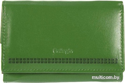Кошелек Bellugio AD-118R-068 (зеленый)
