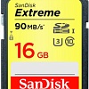 Карта памяти SanDisk Extreme SDHC Class 10 16GB [SDSDXNE-016G-GNCIN]