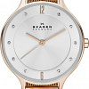 Наручные часы Skagen SKW2151