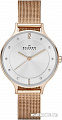 Наручные часы Skagen SKW2151