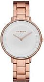 Наручные часы Skagen SKW2331