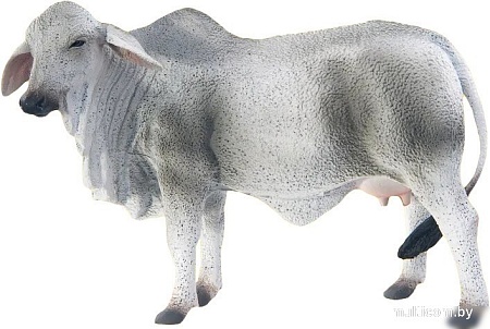 Collecta Корова Брахмана 88580b