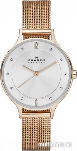 Наручные часы Skagen SKW2151