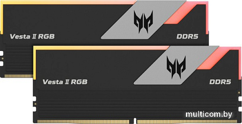 Оперативная память Acer Predator Vesta II RGB 2x16ГБ DDR5 6400 МГц BL.9BWWR.380
