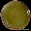 Тарелка десертная Corone Verde HL496930 фк0704