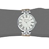 Наручные часы Anne Klein 2619SVTN