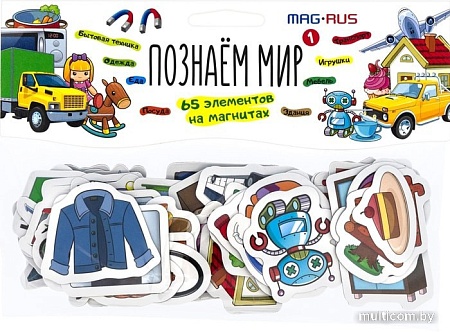 Развивающая игра Анданте Mag-Rus Познаем мир 1 NF1057