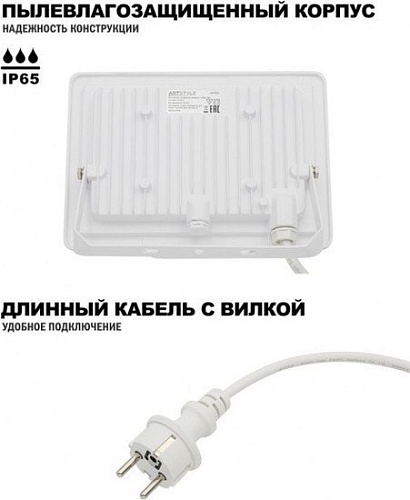 Уличный прожектор ArtStyle CL-E008EI-30W