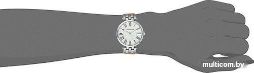 Наручные часы Anne Klein 2619SVTN