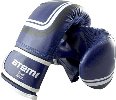 Перчатки для единоборств Atemi LTB-16201 (M, синий)