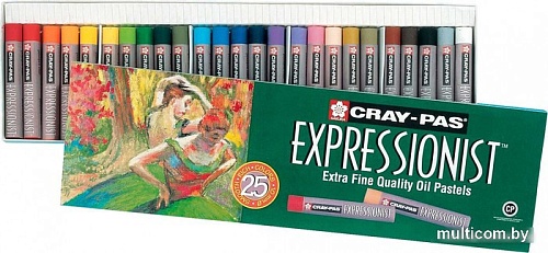 Sakura Pen Expressionist XLP25 (25 цв)