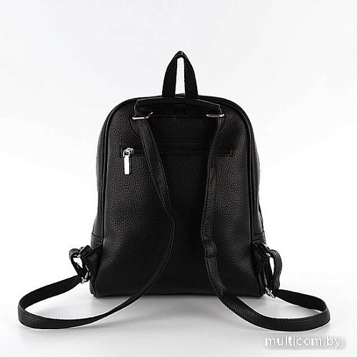 Городской рюкзак Passo Avanti 877-53813-960-BLK (черный)