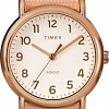 Наручные часы Timex TW2R59600