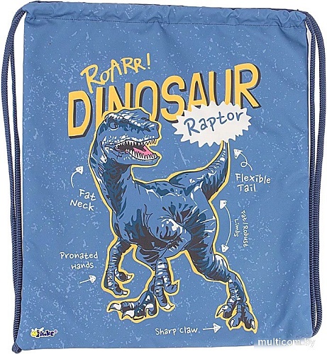 Оникс Раптор 158-71536-CLR