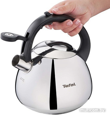 Чайник со свистком Tefal K2481574