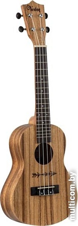 Укулеле Veston KUC100 AC