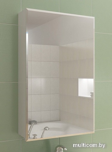 Vigo Шкаф с зеркалом Economy Grand 45