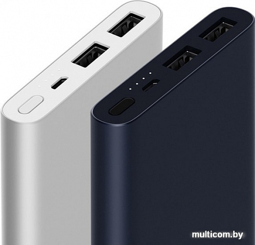 Портативное зарядное устройство Xiaomi Mi Power Bank 2i 10000mAh (серебристый)