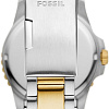 Наручные часы Fossil FS6031