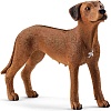 Фигурка Schleich Родезийский риджбек 13895