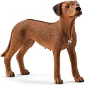 Фигурка Schleich Родезийский риджбек 13895