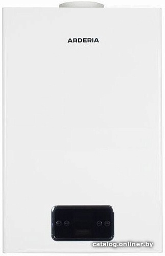 Отопительный котел Arderia D24 Atmo v3