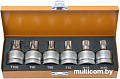Набор торцевых головок RockForce RF-305116 (6 предметов)